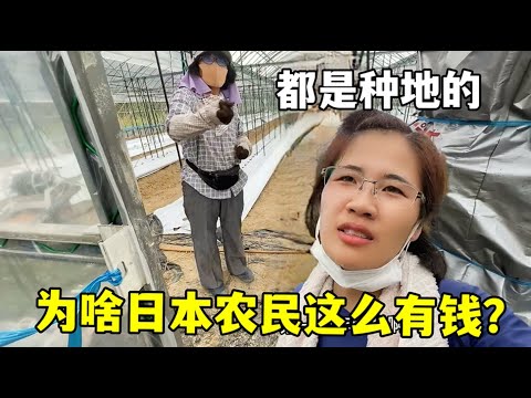 雄鹿客场败,东部第六位,排名遭活塞,香港马会,赛程安排,赛果查询,马匹资料,赛事动态