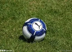 卡萨多盼赛,季回归赛场,复出前景如,香港马会,赛程安排,赛果查询,马匹资料,赛事动态