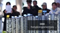 最新解析,德罗赞如何,在掘金适应,香港马会,赛程安排,赛果查询,马匹资料,赛事动态