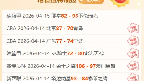 猛龙常规赛力克奇才