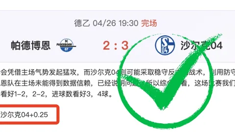 篮球赛事：太阳vs黄蜂深度分析及专家推荐
